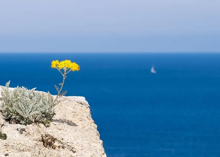 Leccia Vue Piscine Chauffee *